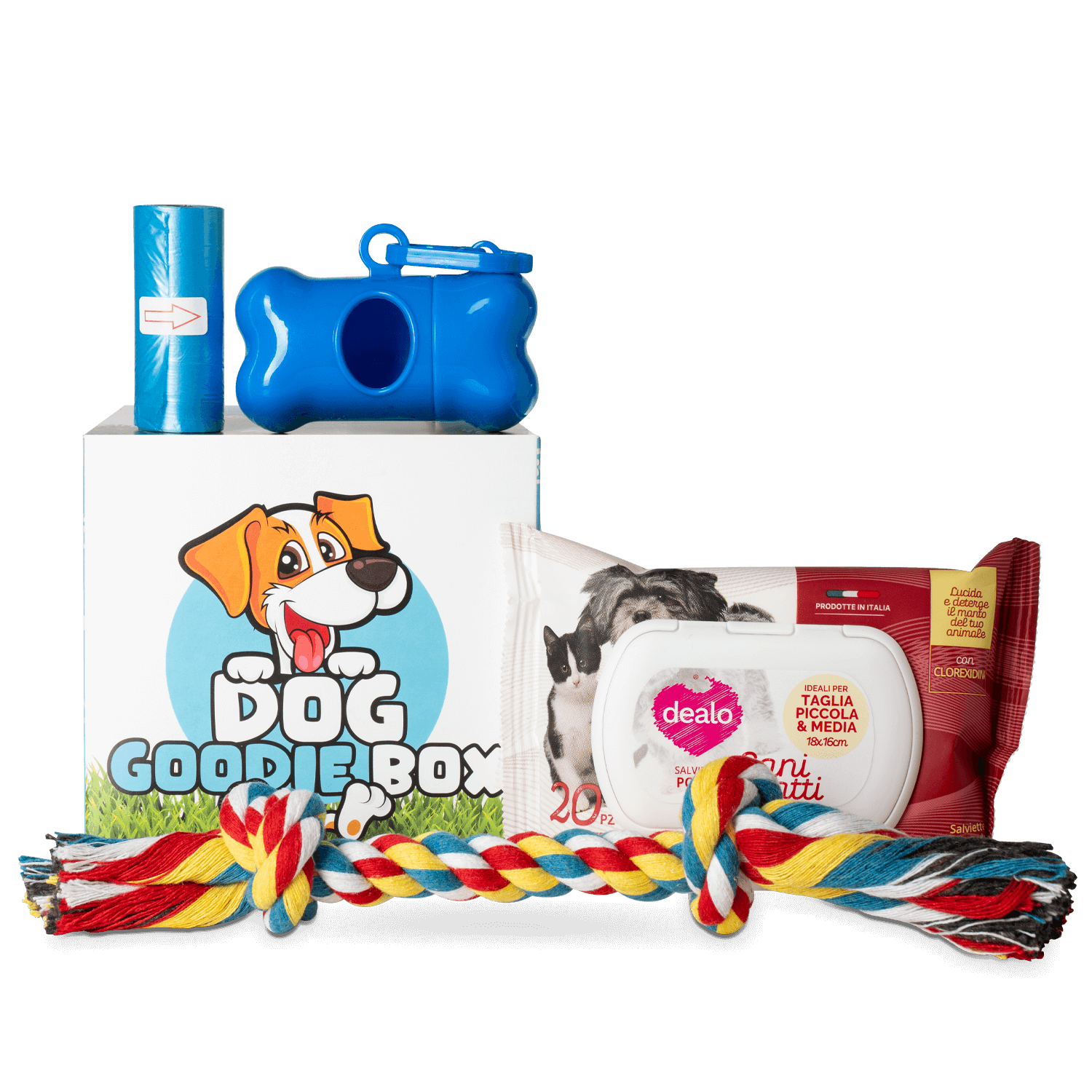 KIT Cane Ginger (60 pz)